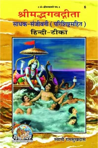 Bhagwat Geeta in Hindi PDF | श्रीमद्भगवद्‌गीता IN HINDI PDF Download
