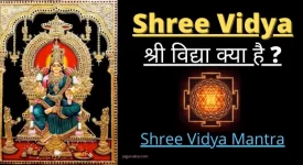 Shree Vidya